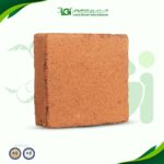 كوكوبيت هندي أصلي 1 قالب