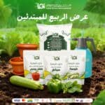 عرض الربيع للمبتدئين
