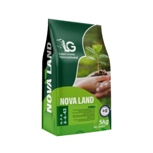 NPK 6 6 43 medium