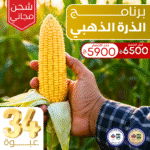 البرنامج الذهبي للذرة الشامية - حماية وتسميد