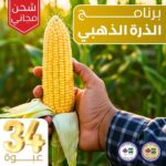 البرنامج الذهبي للذرة الشامية - حماية وتسميد