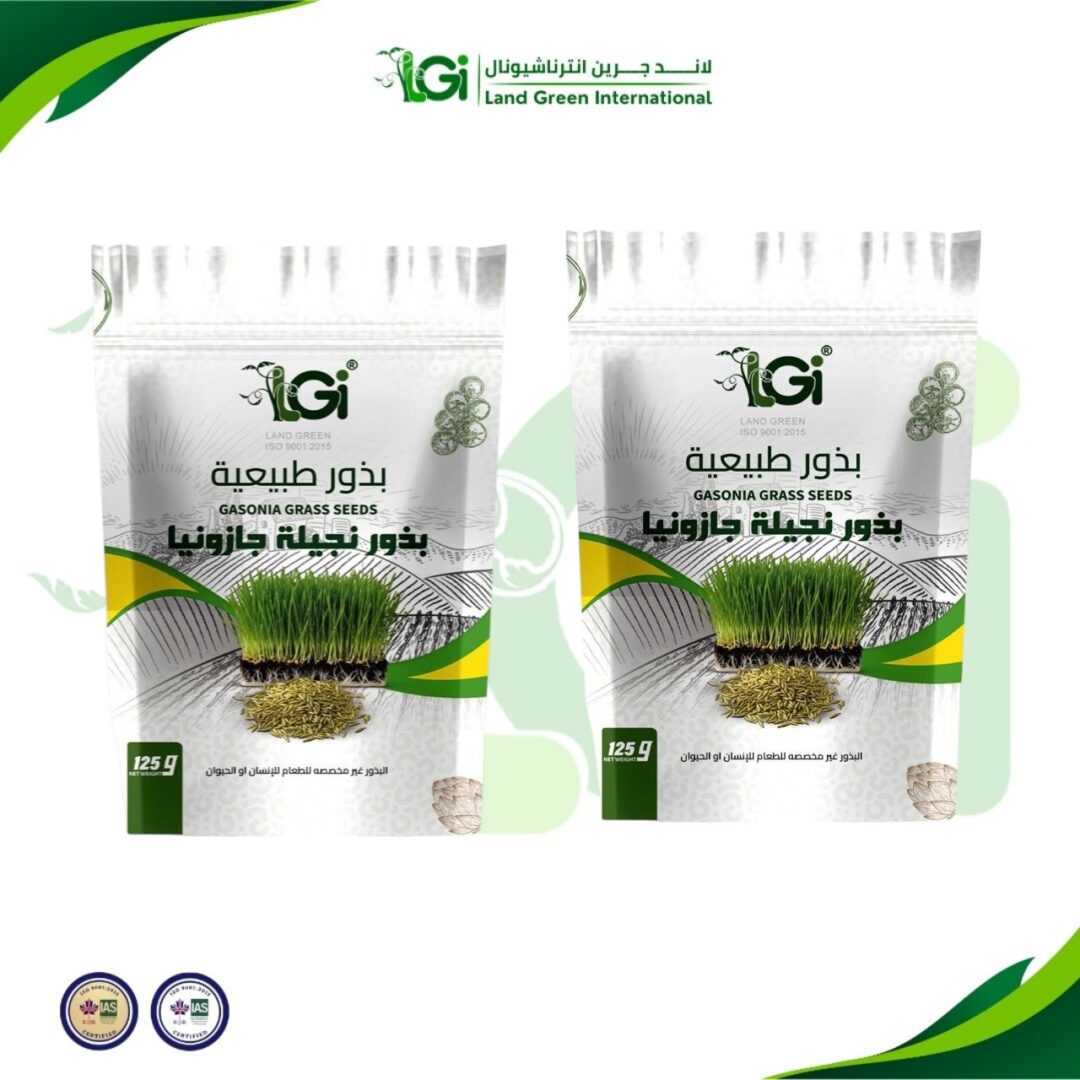 بذور نجيل جازونيا - 250 جرام