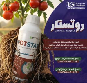منشط جذور