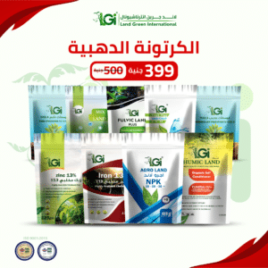 الكرتونة الذهبية 1 %D8%A7%D9%84%D9%83%D8%B1%D8%AA%D9%88%D9%86%D8%A9 %D8%A7%D9%84%D8%AF%D9%87%D8%A8%D9%8A%D8%A9