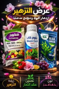 🌸🌸 عرض التزهير 1 WhatsApp Image 2026 03 01 at 10.24.42 AM