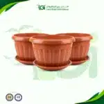 أصيص خورشيد الماني 25 سم - 3 قطع