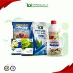 برنامج تسميد القمح