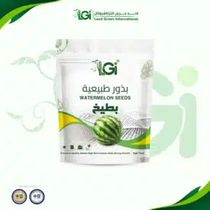 بطيخ