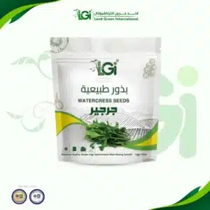 جرجير