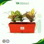 حوض 50 سم - برتقالي