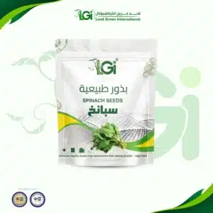 سبانخ