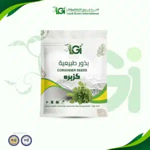 كزبرة