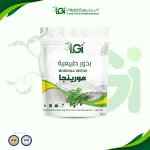 مورينجا