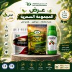 عرض المجموعة السحرية