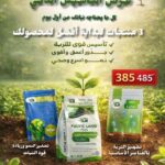 عرض التاسيس الذكي