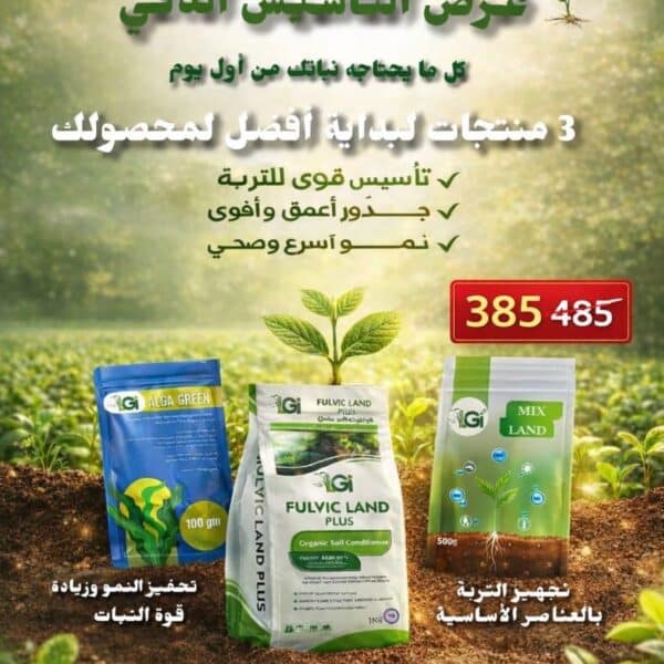 تأسيس